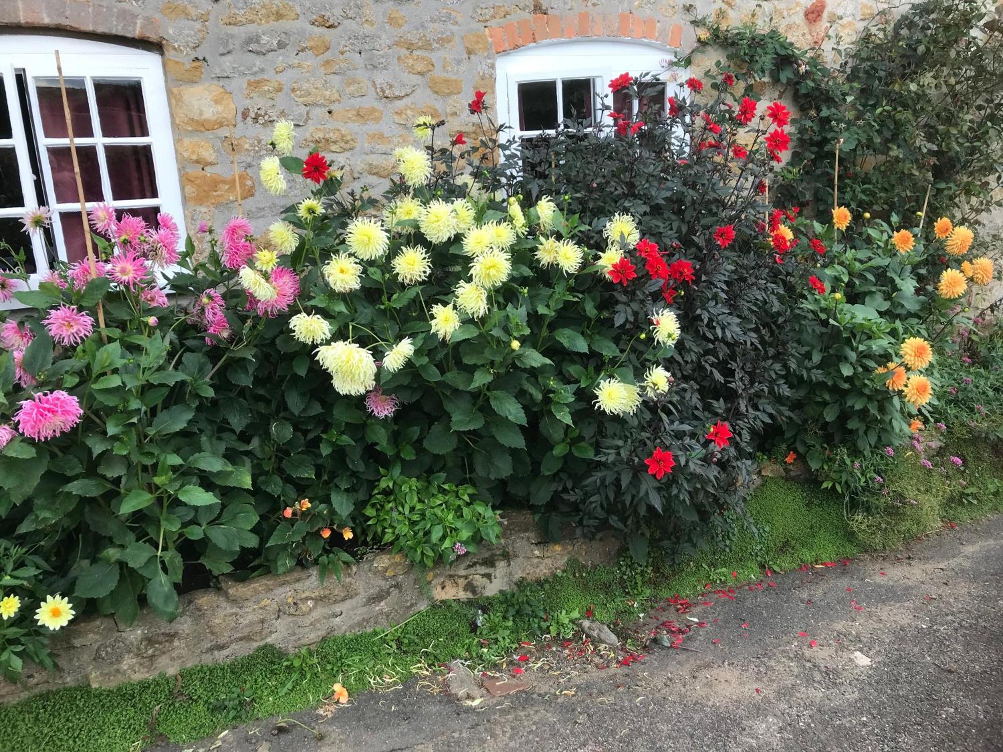 The Cottage Abbotsbury Exterior foto