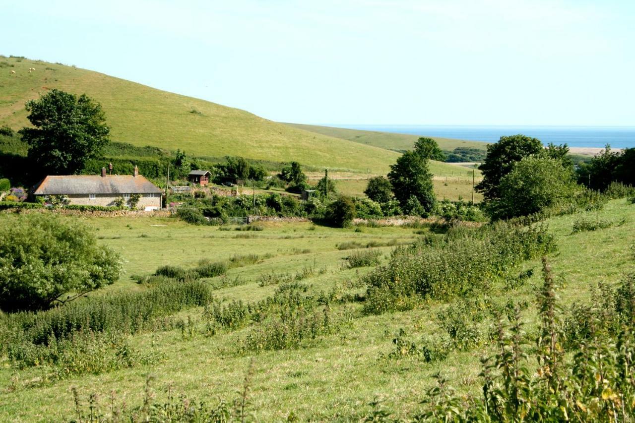 The Cottage Abbotsbury Exterior foto